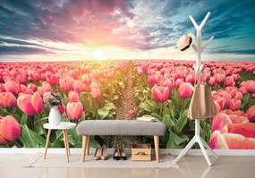 Carta da parati – Alba su prato con tulipani