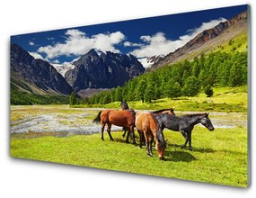 Quadro in vetro Montagne Alberi Cavalli Animali 100x50 cm
