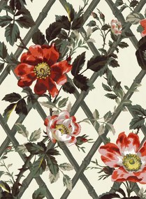 House of Hackney Carta da parati Bryher Rose - Cinnabar
