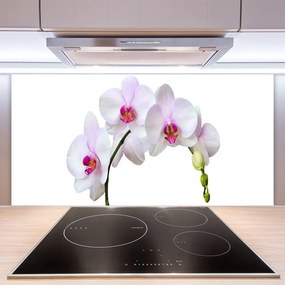 Rivestimento parete cucina Orchidea Fiori di orchidea 100x50 cm