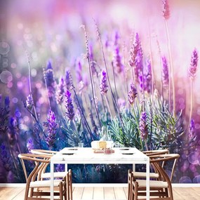 Carta da parati autoadesiva – Fiori magici di lavanda