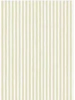 Josephine Munsey Carta da parati Hand Painted Stripe - Maitland Green/ Cotswold White