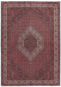 Bidjar Tappeto 250x170 (Iran) Annodato A Mano