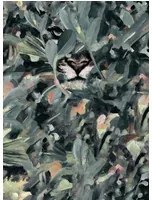 Coordonne Carta da parati Hidden Puma - Night