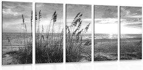 Quadri 5 pezzi – Tramonto sulla spiaggia in bianco e nero