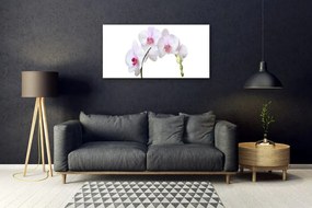 Quadro acrilico Orchidea Fiori di orchidea 100x50 cm