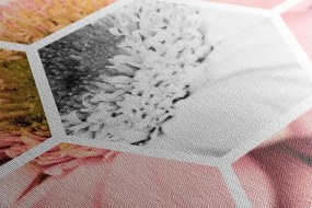 Quadro su tela – Gerbera in esagono