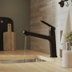 Rubinetto da cucina con doccetta diagonale Icone canna bassa con doccetta nero verniciato opaco DELINIA