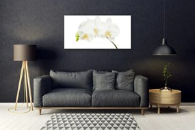 Quadro acrilico Gambi di orchidea Fiori Natura 100x50 cm