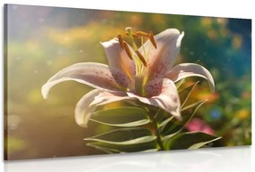 Quadro su tela – Splendido fiore con tocco retrò