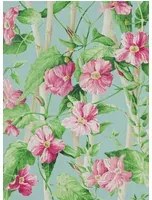Manuel Canovas Carta da parati Elena - Rose/ Aqua