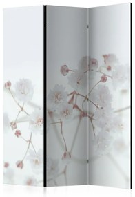 Paravento separè Fiori bianchi - fiori con steli rosa su sfondo bianco