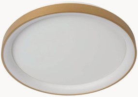 Plafoniera a LED con luce regolabile Vidal