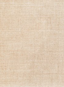 Arte International Tapete Line - Beige