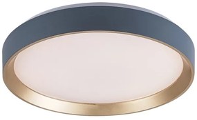 Rabalux 71185 - Plafoniera LED LIATRIS LED/25W/230V 3000K diametro 38 cm