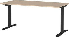 Scrivania con effetto rovere con altezza regolabile elettricamente 80x160 cm – Germania