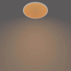 Philips - Plafoniera LED dimmerabile CLEAR 1xLED/18W/230V 2700K