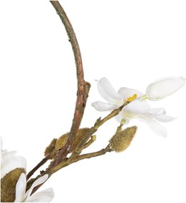Ghirlanda di fiori Magnolia - Ixia