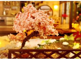 2Kids Toys - Miniatura villa Sakura elegante, 2xAAA