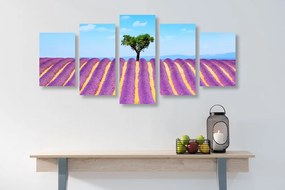 Quadri 5 pezzi – Campo di lavanda provenzale