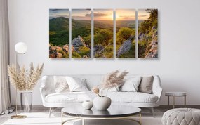 Quadri 5 pezzi – Natura baciata dal sole