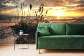 Carta da parati – Tramonto sulla spiaggia
