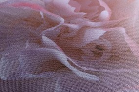 Quadro su tela – Petali di garofano