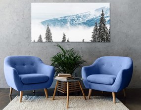 Stampa su tela – Alberi di pino innevati