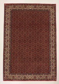 Bidjar Tappeto 210 x 300 (Iran) Annodato A Mano