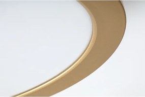 Rabalux 75078 - Plafoniera LED per bagno SHAUN PLUS 24W/230V Ø 22 cm IP44 dorata