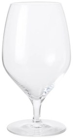 Bicchieri da birra in set da 2 pezzi 600 ml Premium - Rosendahl