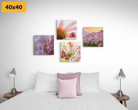 Set di quadri – Fioritura della natura