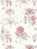 Sanderson Tapete Etchings & Roses - Amanpuri Red
