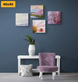 Set di quadri – Natura delicata affascinante