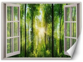 Carta Da Parati, Vista finestra raggi di sole nella foresta