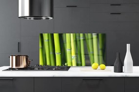 Pannello paraschizzi cucina Pianta della natura di bambù 100x50 cm