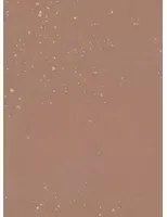 Terrastone Rustique floor - 15kg - KW2 - Lachsgrau - 15 kg