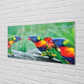 Quadro acrilico Albero di pappagalli colorati 100x50 cm