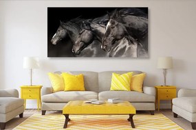 Quadro su tela – Tre cavalli al galoppo