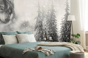 Carta da parati – Lupo in bianco e nero in un paesaggio innevato
