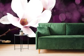 Carta da parati autoadesiva – Fiore di magnolia su sfondo astratto