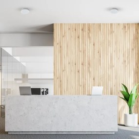 Plafoniera LED per bagno MARLON LED/12W/230V Ø 18 cm IP54 bianco