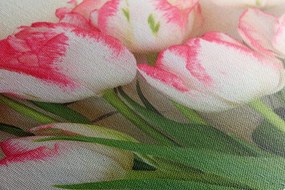 Quadro su tela – Tulipani con tocco primaverile