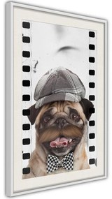 Poster  Dressed Up Pug  Cornice Quadri Cornice nera con pass-partout, Larghezza x Altezza Home decor 40x60