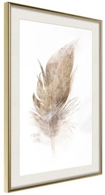 Poster  Lost Feather (Beige)  Cornice Quadri Cornice d'oro con passe-partout, Larghezza x Altezza Home decor 20x30