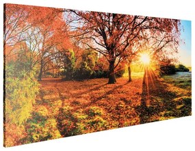 Stampa su tela Autunno, multicolore 120 x 59 cm