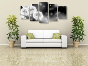 Quadri 5 pezzi – Dente di leone soffice in bianco e nero