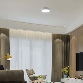 Plafoniera LED LED/18W/230V 4000K diametro 21,5 cm