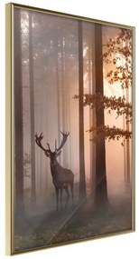 Poster  Forest Seclusion  Cornice Quadri Cornice d'oro, Larghezza x Altezza Home decor 20x30