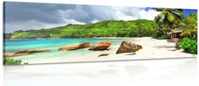 Stampa su tela – Seychelles tropicali
